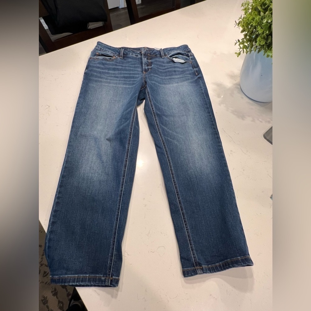 Time and Tru Jeans size 18p